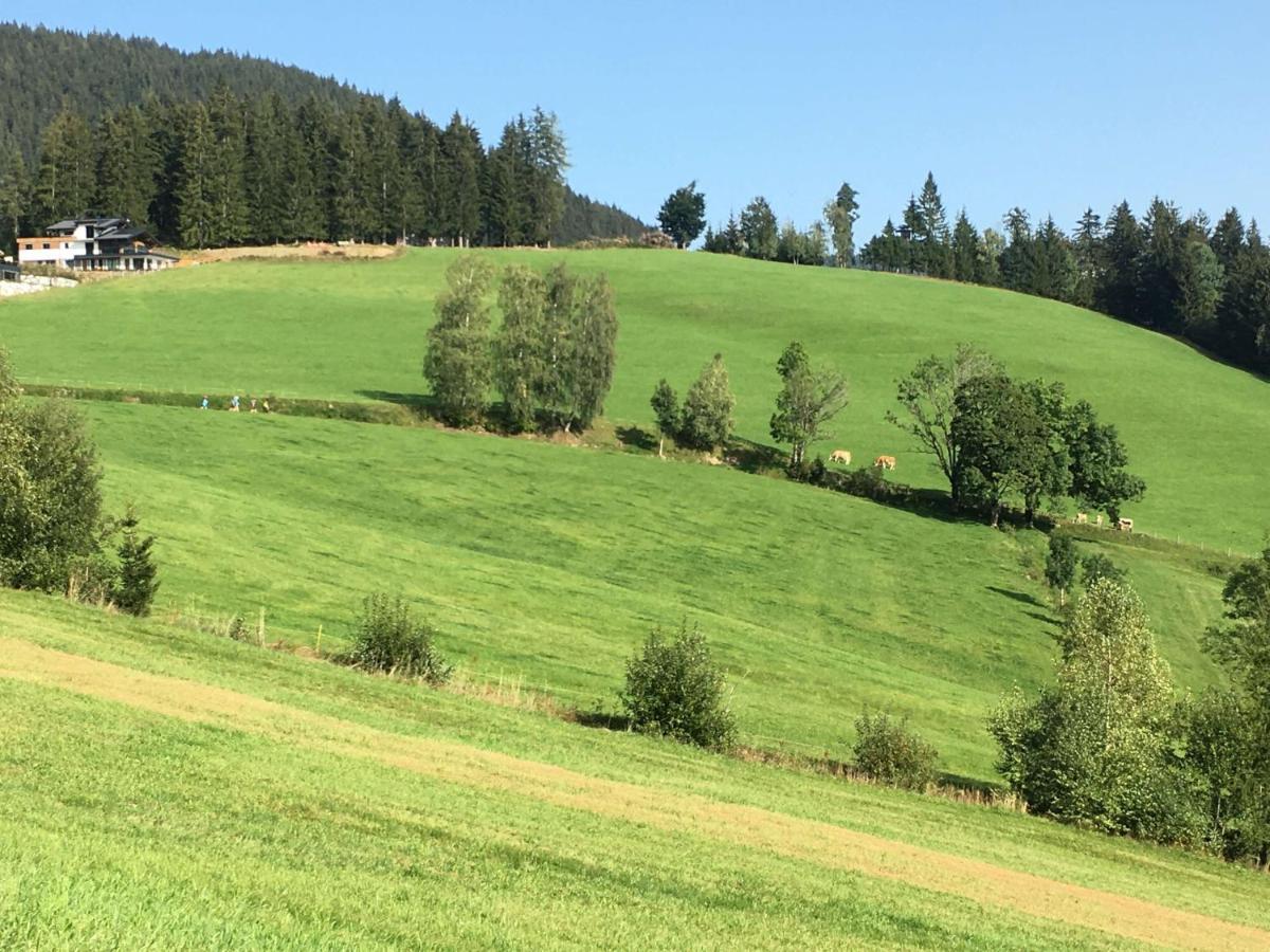 Traumblick Dachstein Leilighet Radstadt Eksteriør bilde